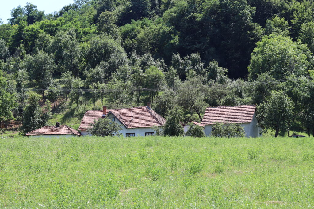 Selo, Dražinovići, Kuće